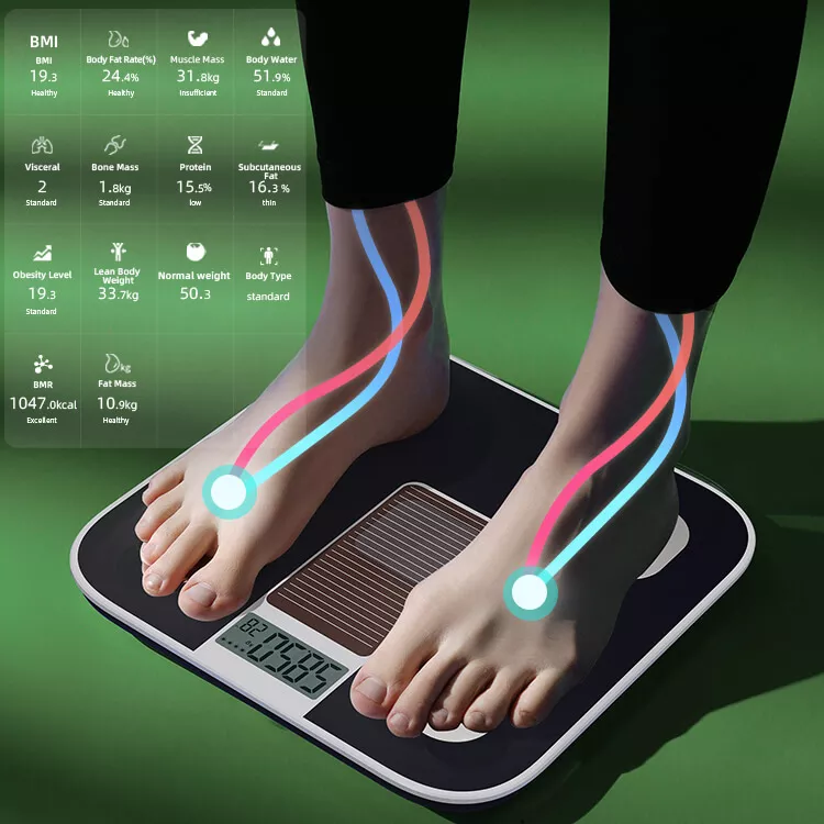 TYNZEO Digital Scales for Body Weight Bluetooth Body Composition Scales  with USB Charger for Body Weight, Fat, Water, BMI, BMR, Muscle Mass 