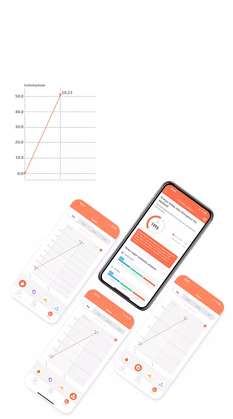 Analyze Reports And Share Them Anytime