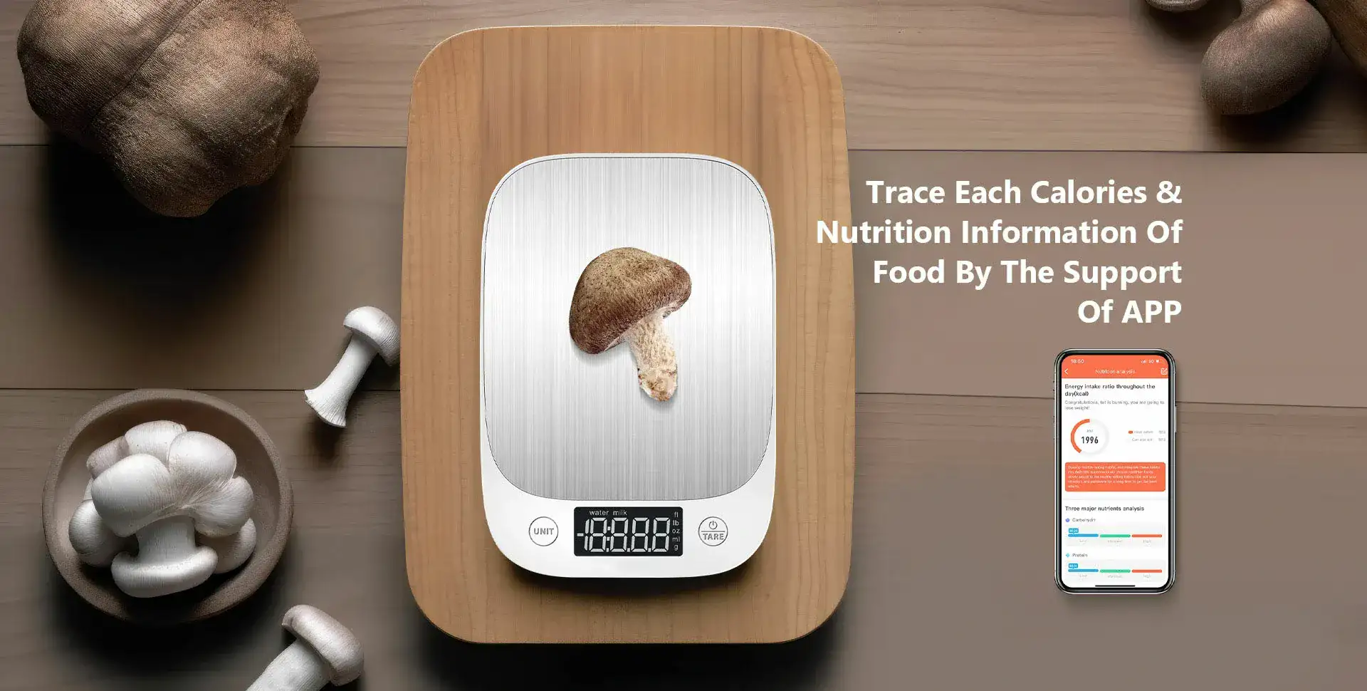 kitchen scale