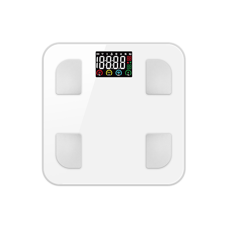 Best Electronic Bathroom Scales, Digital Scale | CF566BLE